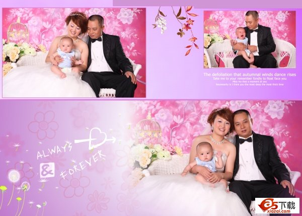 PSD粉红婚纱模板