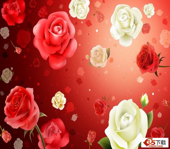 玫瑰花PSD模板 1