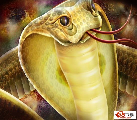 眼镜蛇psd分层模板