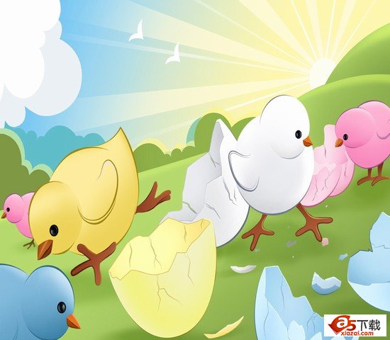 可爱的小鸡模板(PSD)