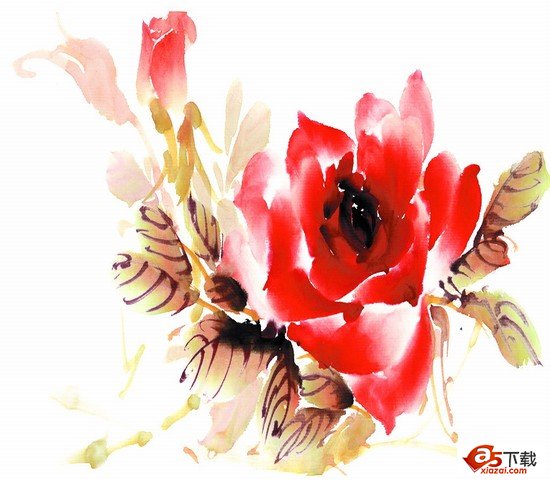 水彩玫瑰花分层模板(PSD)