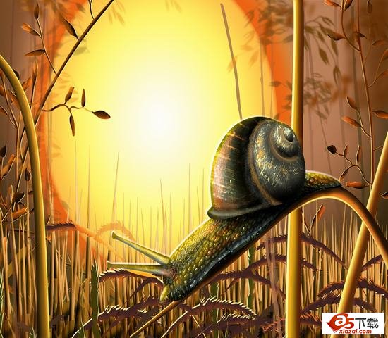 蜗牛分层模板(PSD)
