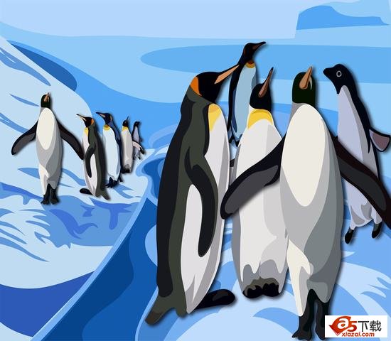 精美企鹅分层模板(PSD)