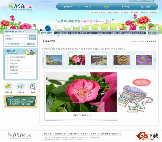 韩国鲜花模板 1